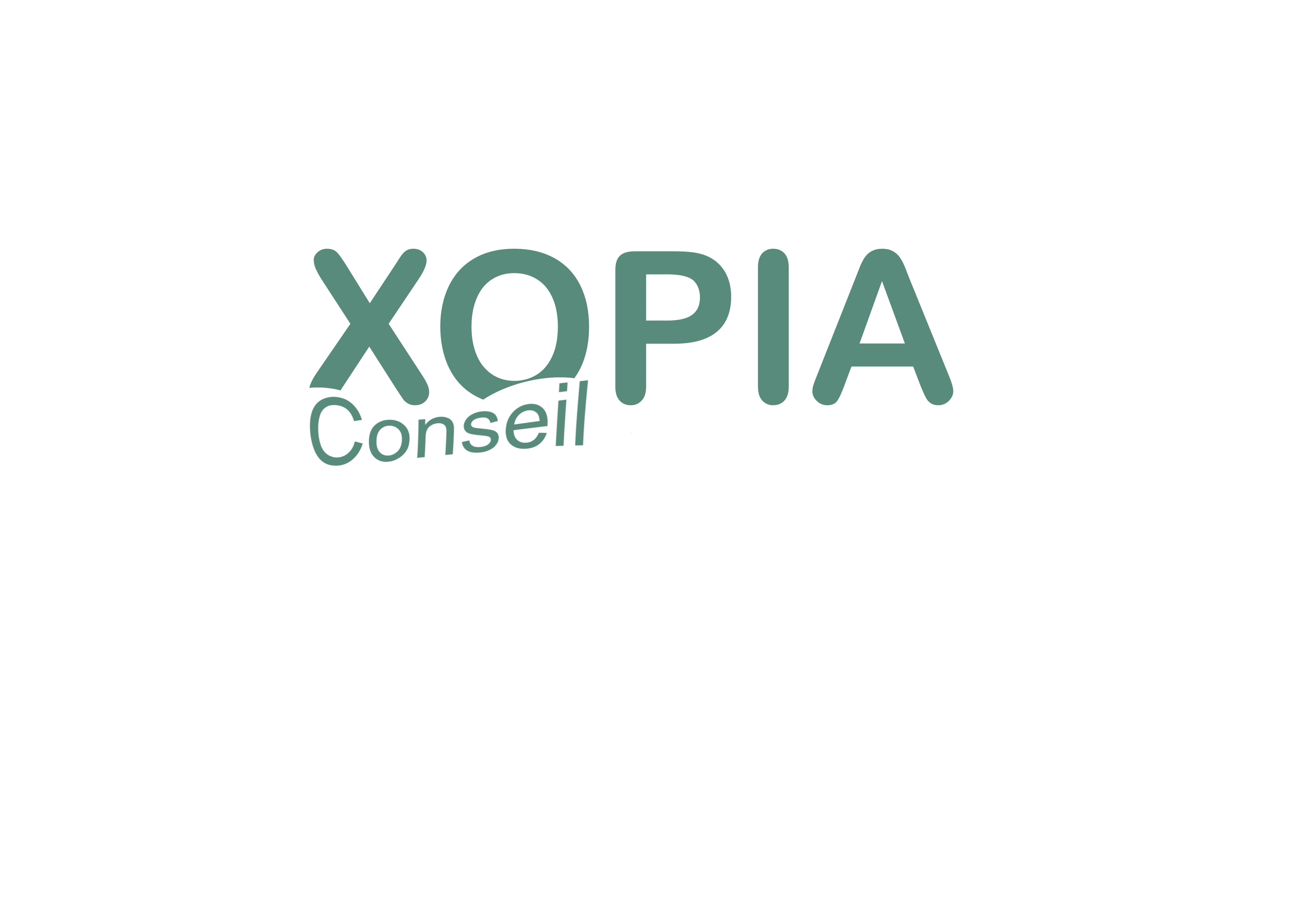 XOPIA Conseil